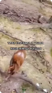 🙊