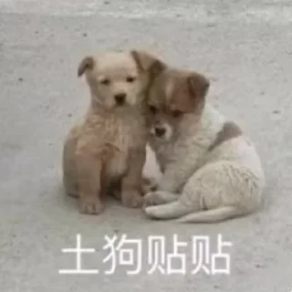 🥸