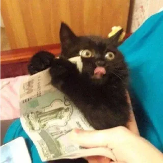 💸