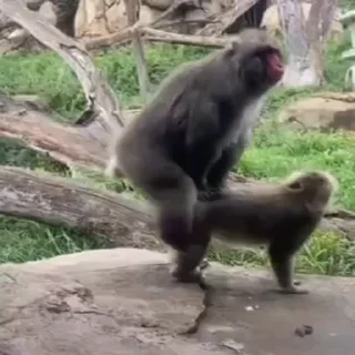 😘
