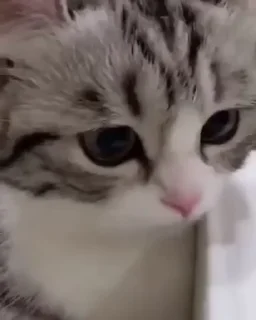 😥