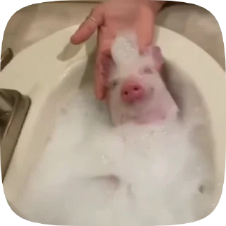 🛁