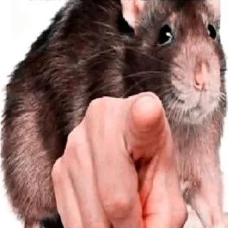 ☝️