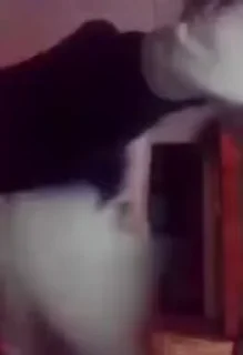 🍑