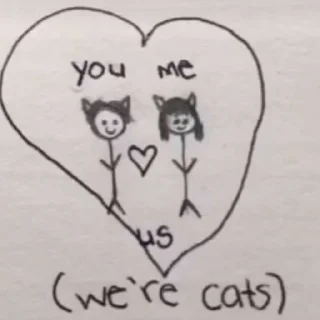 😽