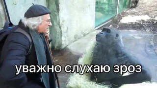 🙉