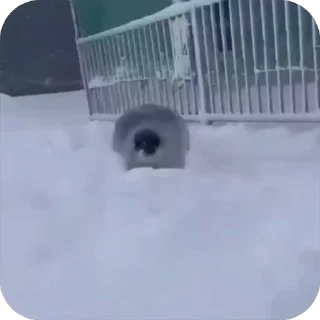 😊