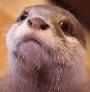 😧