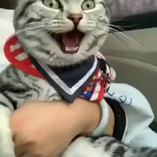 😂