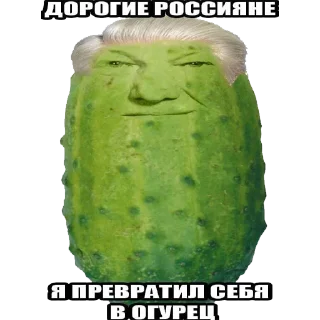 🥒