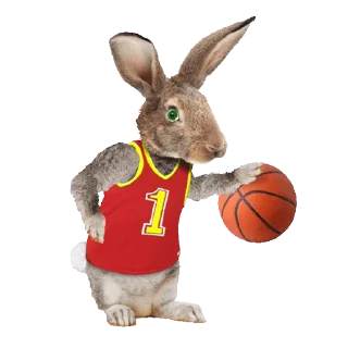 🏀