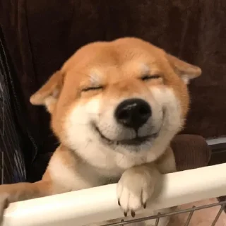 😁