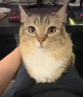 😐