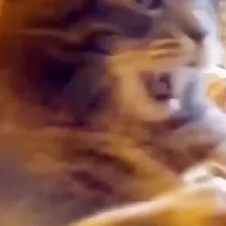 😮