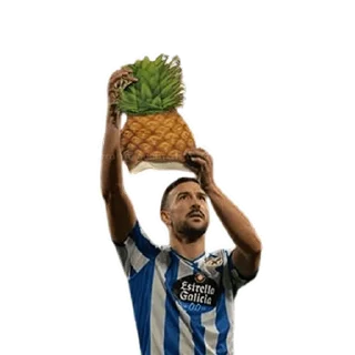 🍍