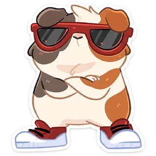 😎