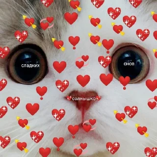 ♥️
