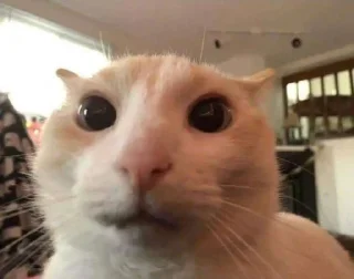 😳