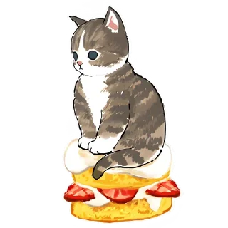 🥪