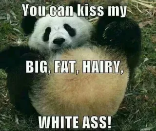😜