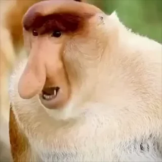 😡