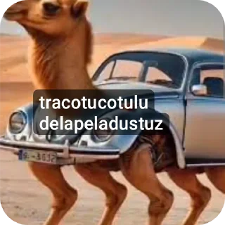 🚗