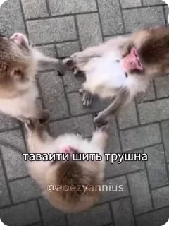 🤝