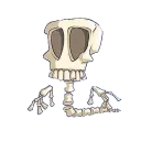 💀