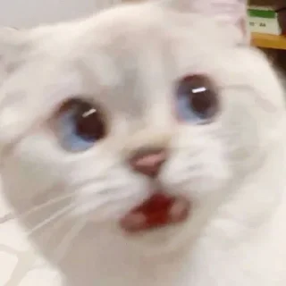 😰