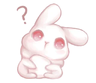 🐰