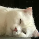 🤨
