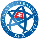 🇸🇰