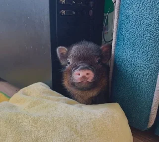 🙂
