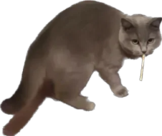 🚬