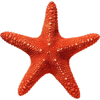 ⭐️