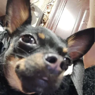 😛