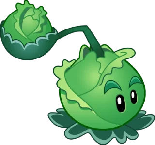 🥬