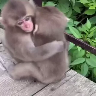 🤗