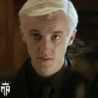 Draco @stickersb2b