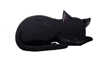 🐾