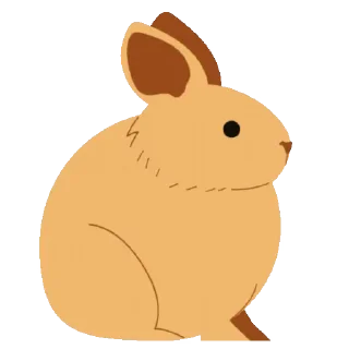 🐇