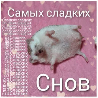 🍖