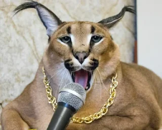 👨‍🎤