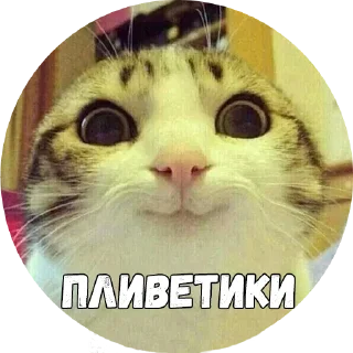 👋