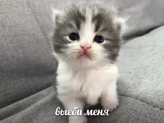 🥰