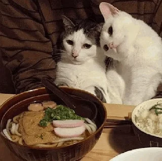 🍜