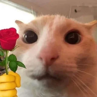 💐
