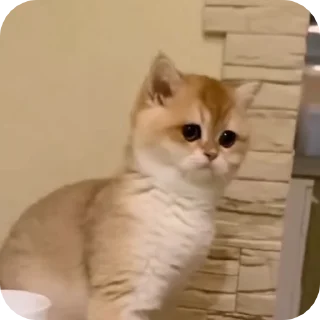 😳