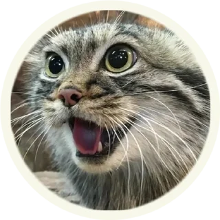 😃