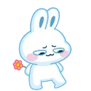 🌺